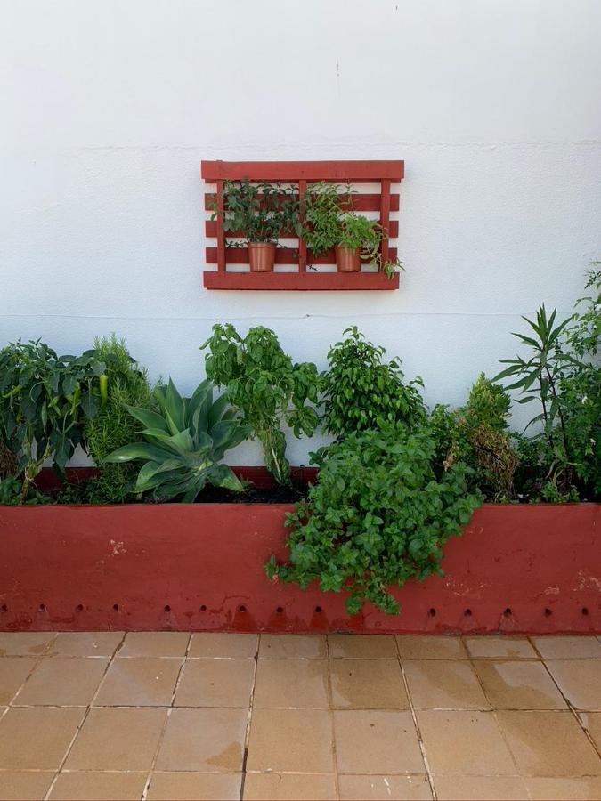 Atico La Ilusion Con Parking Apartment Sanlucar de Barrameda Exterior photo